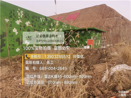 邵阳星空迷彩墙施工队
