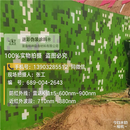邵阳星空迷彩漆，夏令营训练,数码迷彩作训墙,围墙